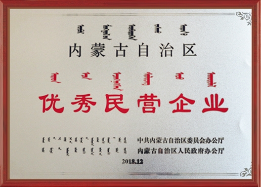 優秀民營企業